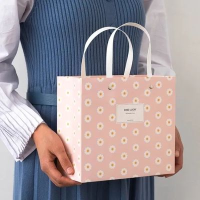 衣服の熱い押すことのための170gボール紙の習慣の出荷袋